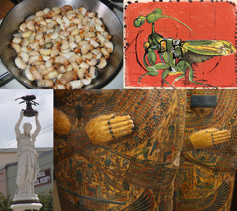 Cultural Entomology Collage
